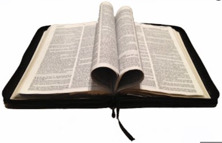 Hur läser du Bibeln?